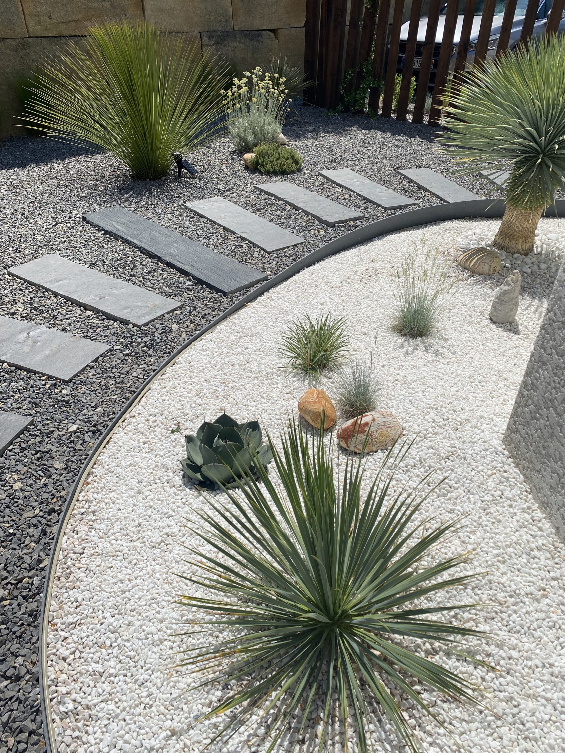 Parterre minéral, succulentes